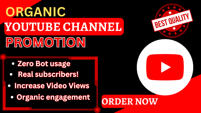 I will do organic youtube channel promotion, video promotion for channel monetization