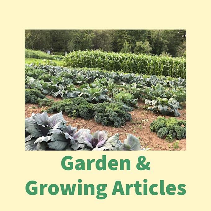 write an article on a gardening or related topic