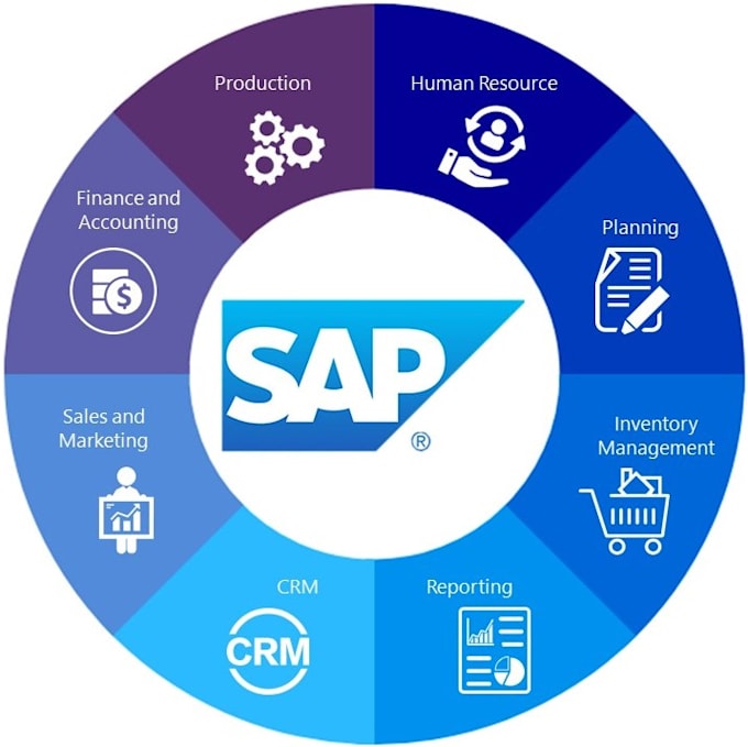 help clients implement and optimize sap fico solutions