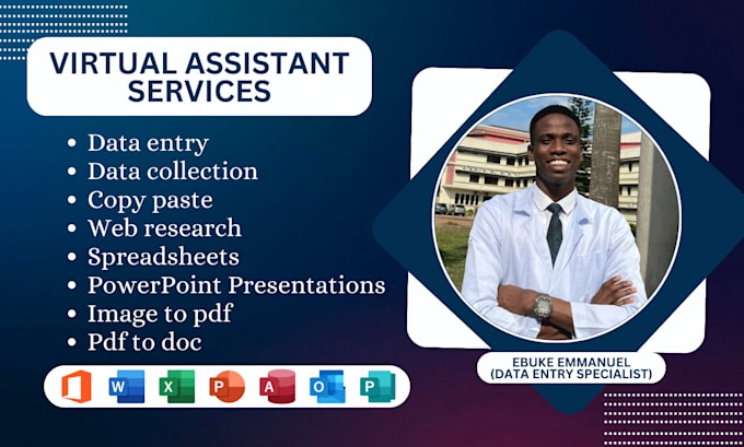 do data entry, copy paste, graphs on excel
