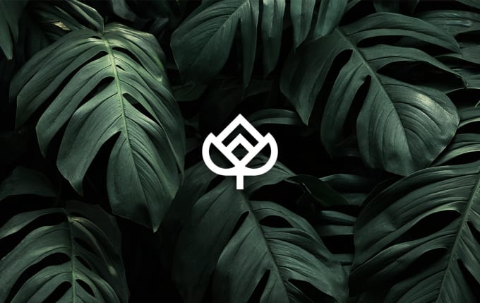 Modern luxury minimalist logo design in 24 hours by Sheerazaweb | Fiverr