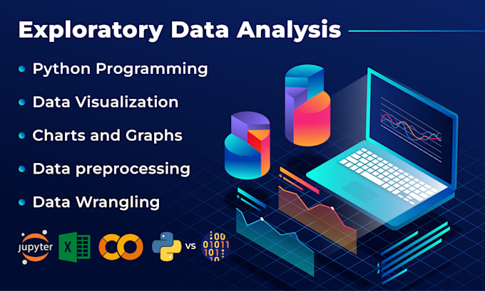 provide insightful eda services for data understanding