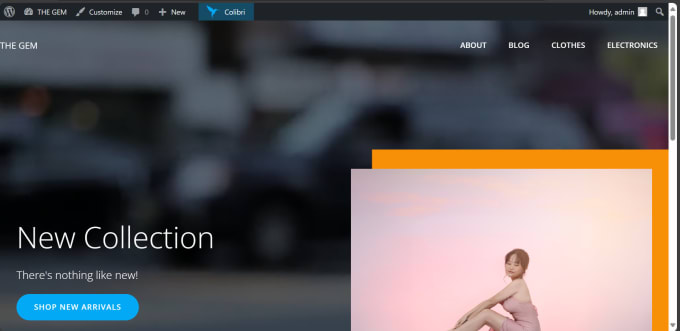 Build a website using html, css, and wordpress and will design a logo ...
