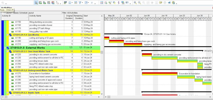 create ms project gantt chart and project plans