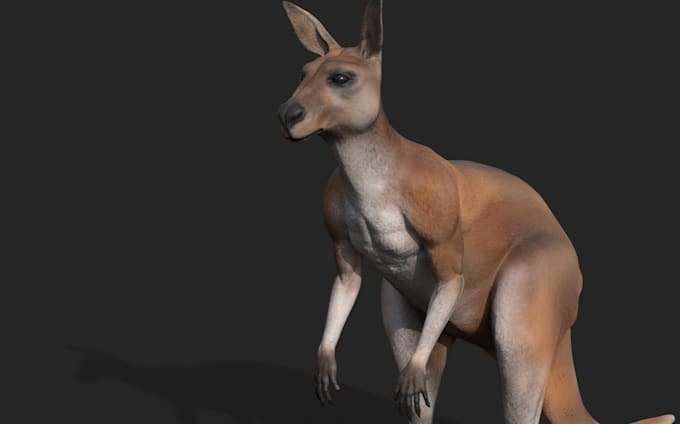 create 3d realistic animal characters, 3d realistic fur and grooming