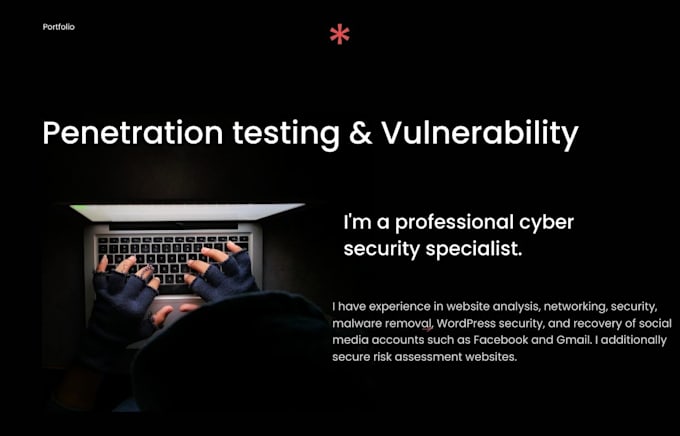 conduct vulnerability and penetration testing on your website