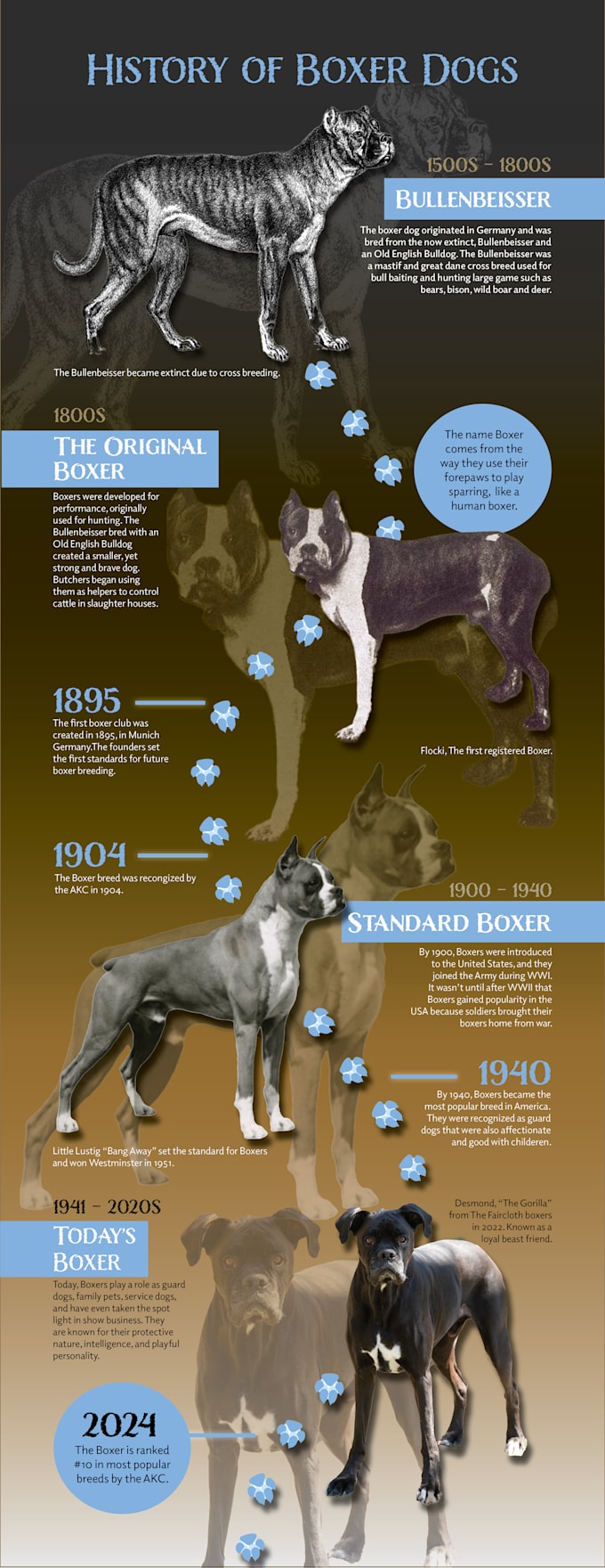 design a custom infographic