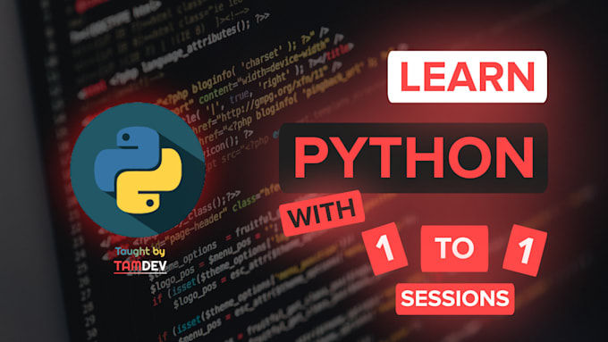 Teach you how to code in python by Tamgamer97 | Fiverr