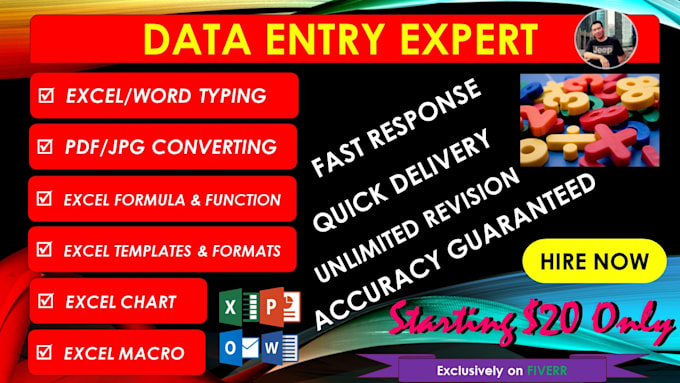 do data entry, typing, microsoft excel and office job