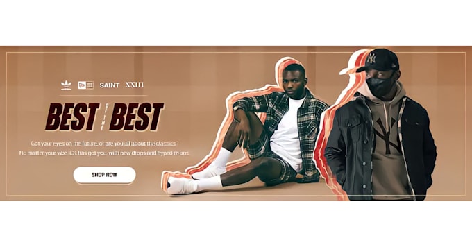 make shopify clothing store and fashion store