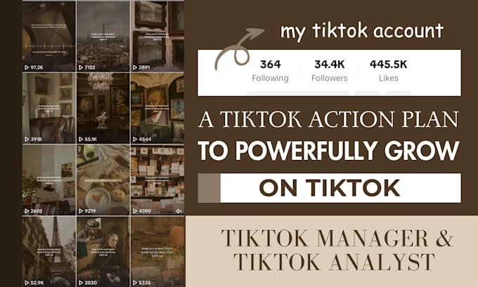 be your tiktok manager and tiktok analyst