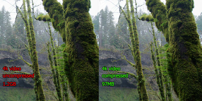 compress large videos to smaller size in any format