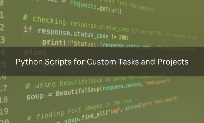 Create python scripts for custom tasks and projects by Alyshai_nd | Fiverr