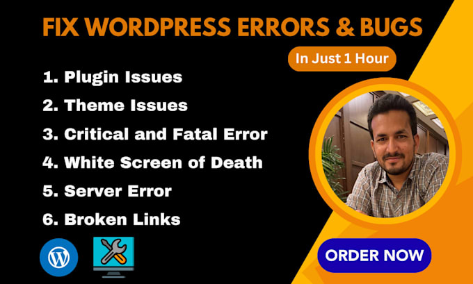 fix wordpress issues, errors, bugs, plugin, and theme problems