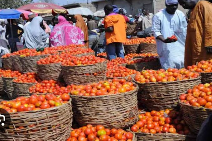 source any agricultural produce or any products in nigeria