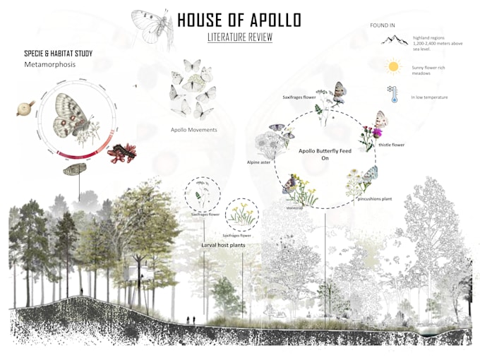 design architectural presentation board and portfolio