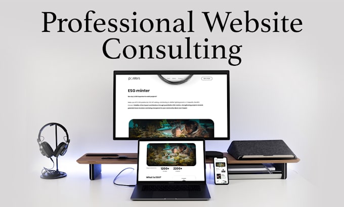 give professional website consulting for your business
