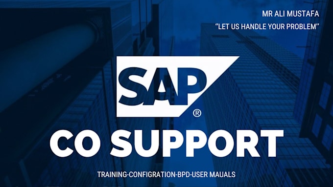 be your sap co consultant