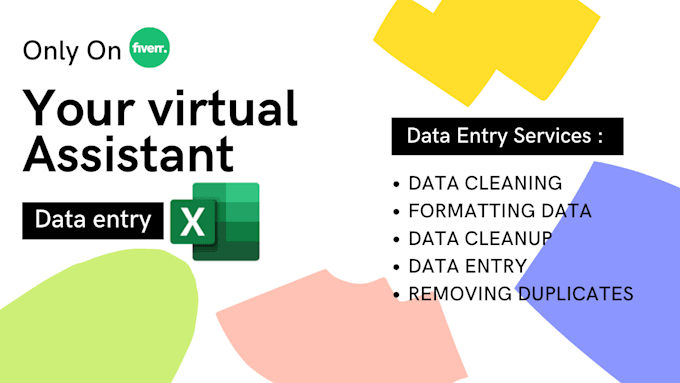 excel data cleaning, data entry, and formatting