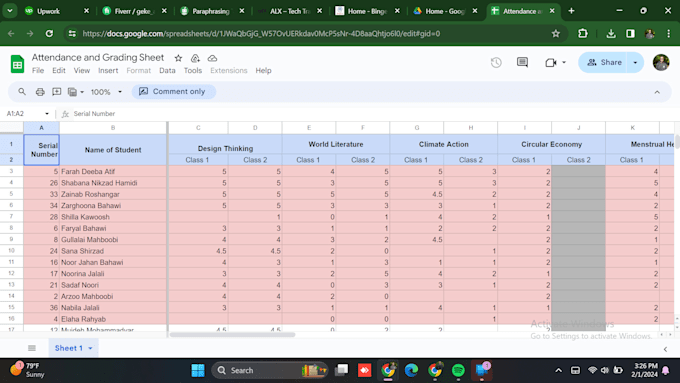 accurate and efficient data entry for your project needs