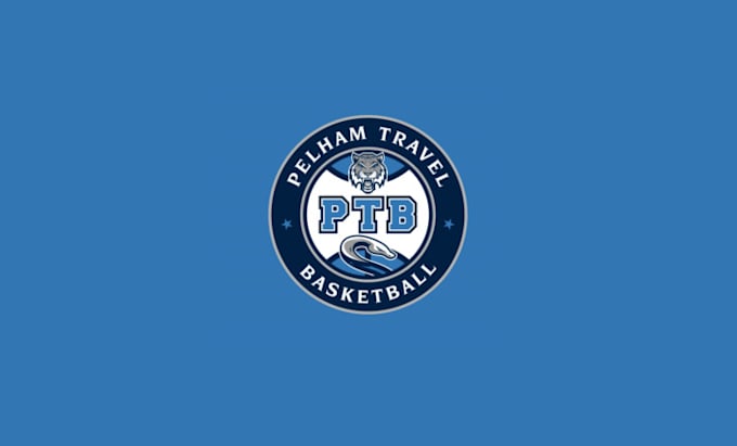 make fantastically structured travel basketball logo