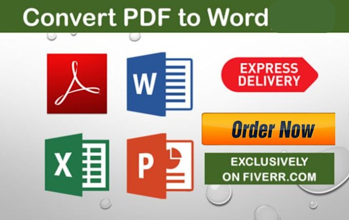 professionally convert pdfs to editable word documents