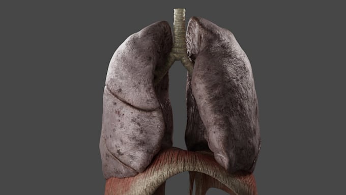 create 3d modeling and texturing of any type