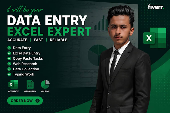 data entry excel expert
