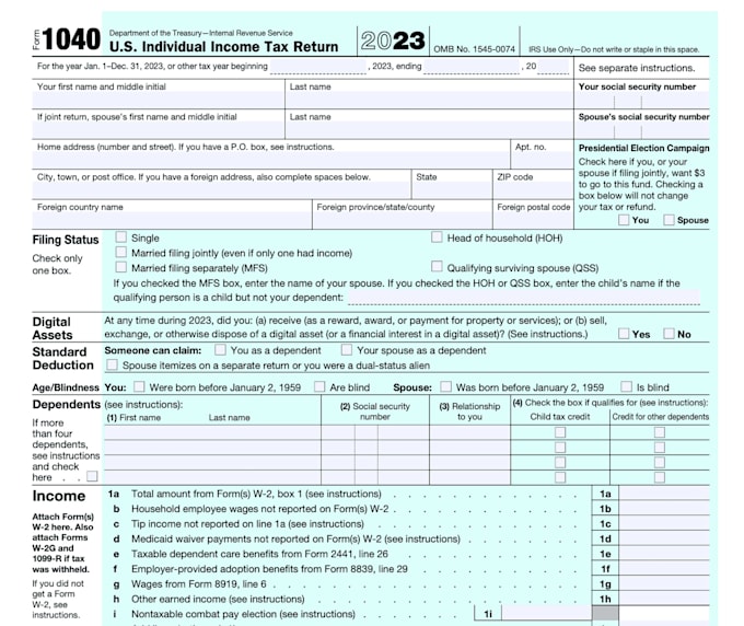file the USA tax returns and do bookkeeping
