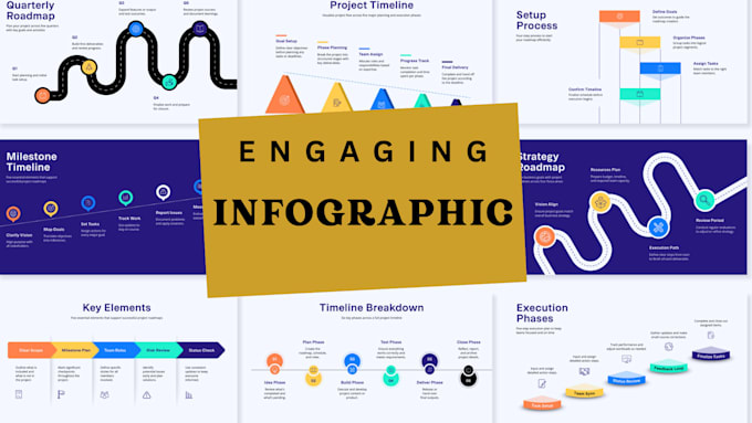 create  professional custom infographics