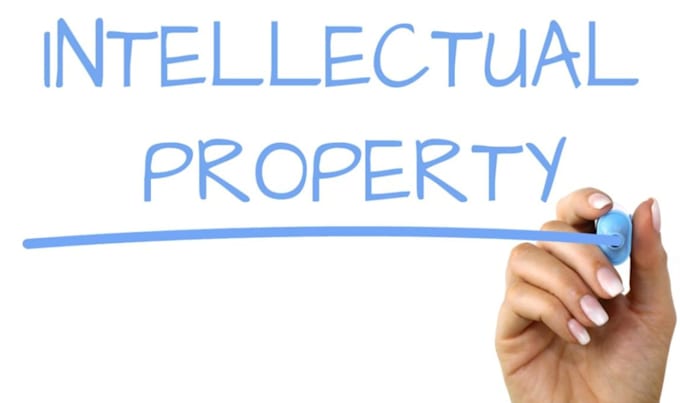 provide intellectual property advice