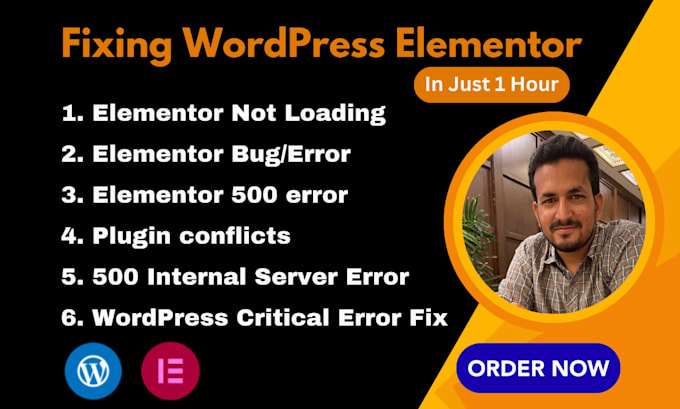 fix wordpress issues, elementor errors, bugs and critical error