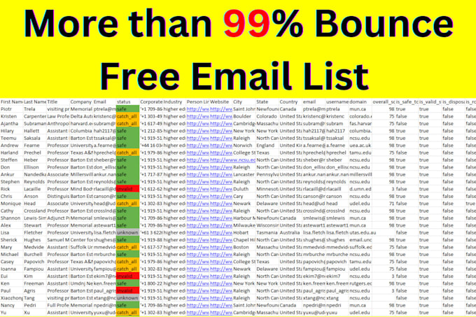 provide bulk email list validation service with full details