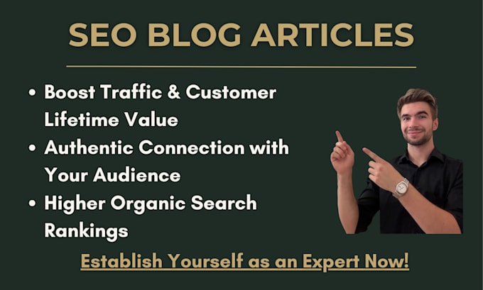 establish you as an expert in your niche with a professional SEO optimised blog