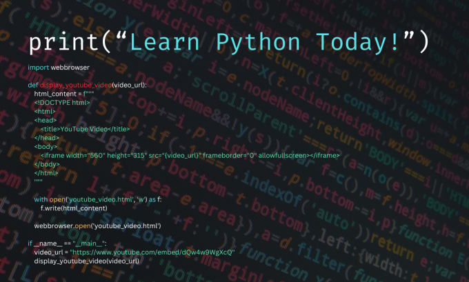 Teach you the basics of python by Maskedparkin | Fiverr