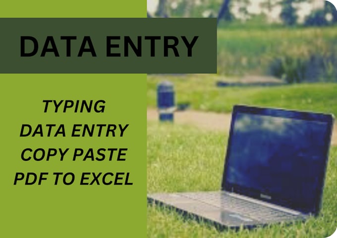 do efficient data entry services with expertise in ms excel