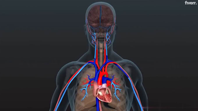 Do 3d medical cpr, cpr surgery animation cpr, anatomy cpr explainer ...