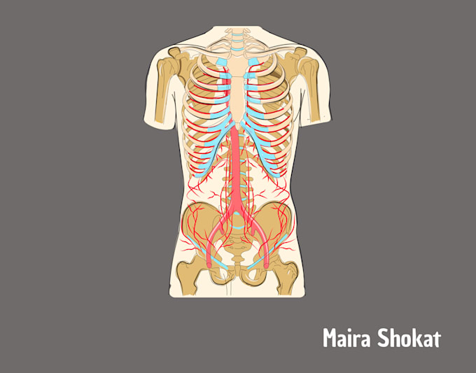 do medical illustration and pencil sketch