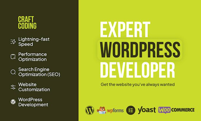 build professional wordpress site, wordpress developer