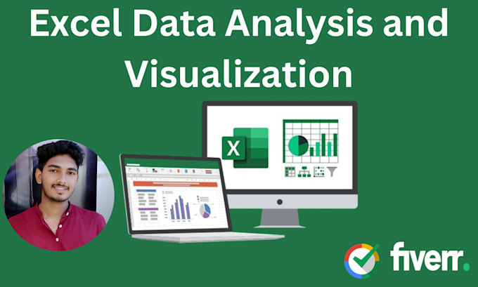 provide excel data analysis and visualisations