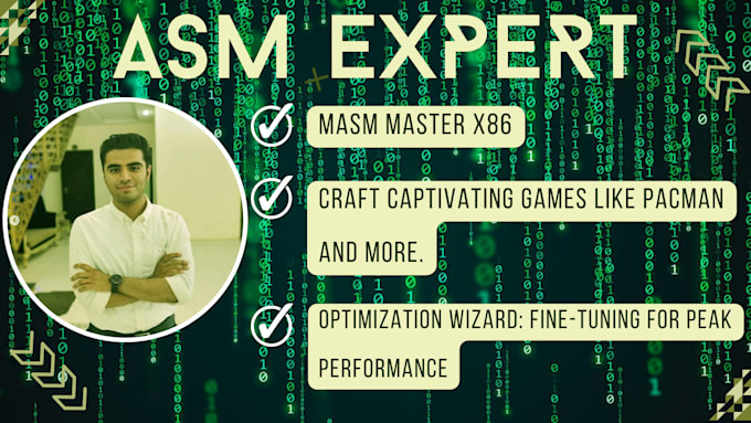 do projects in assembly language, particularly in masm x86