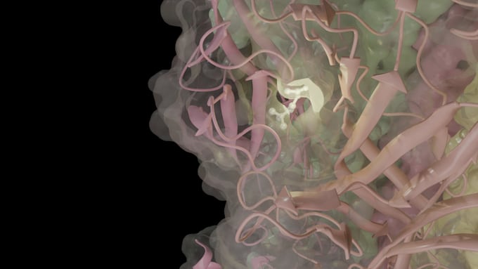 make 3d animation of proteins for science and biology