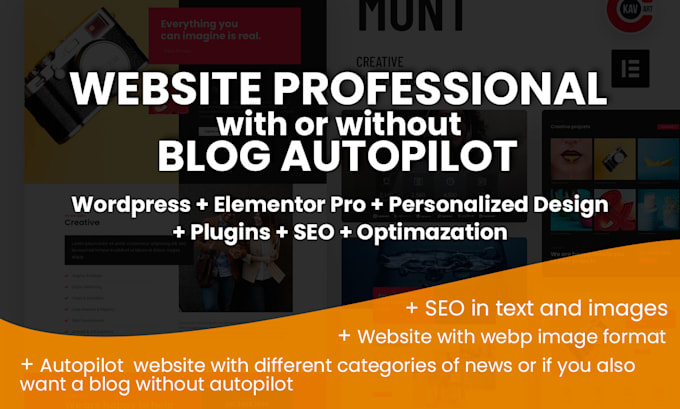 create a professional custom website autoblog with SEO