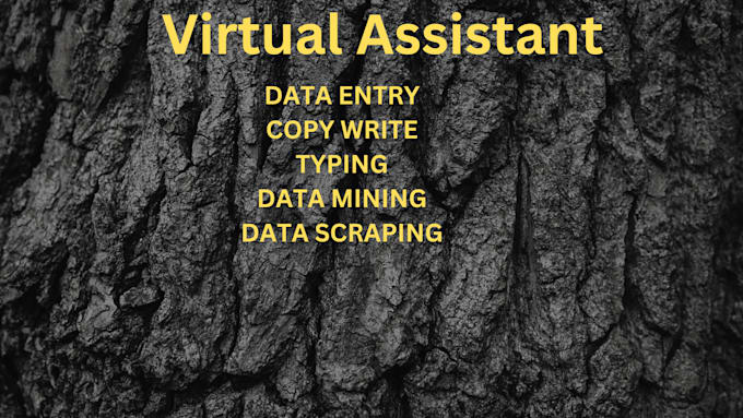 be your data entry specialist