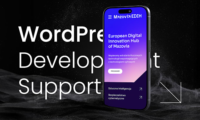 wordpress development and support