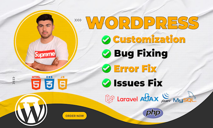 do wordpress plugin, fix wordpress error,bugs,issues and theme customization