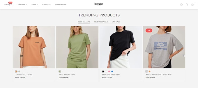 launch professional shopify store in 1 day at affordable