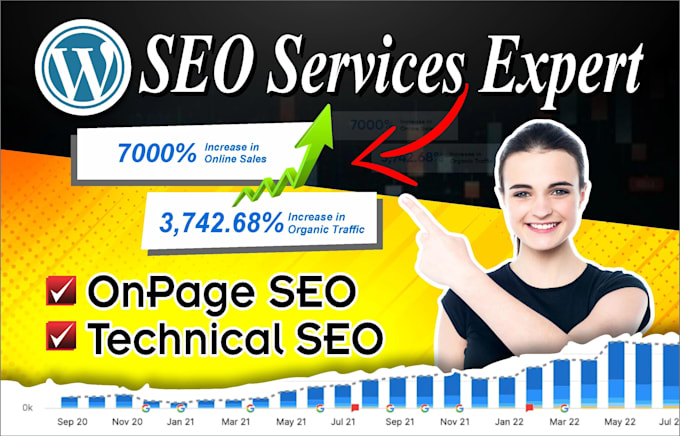professional wordpress SEO with complete on page  optimiz