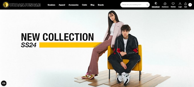 make shopify clothing store and fashion store