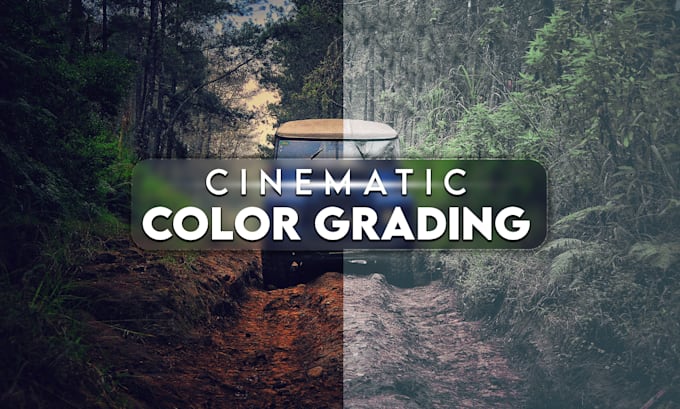 Do professional video color grading, color correction, cinematic looks ...